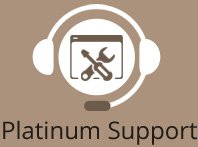 Platinum website support